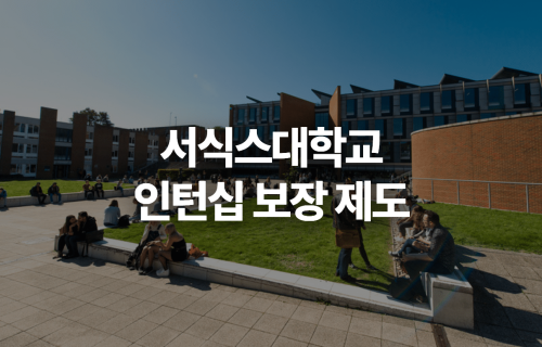 서식스대학교 인턴십 보장 제도